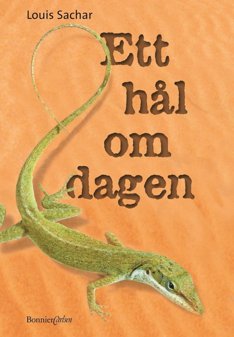 Ett hål om dagen
