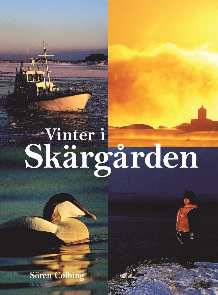 Vinter i skärgården