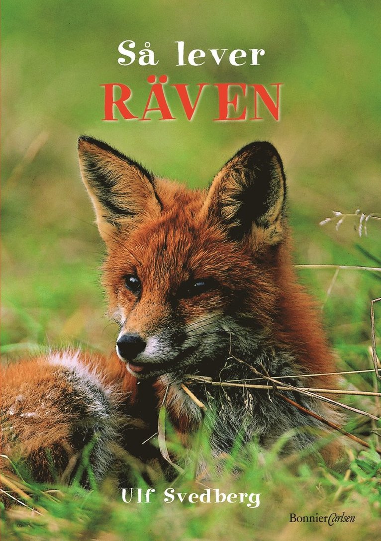 Ulf Svedberg - Så lever räven, Inbunden
