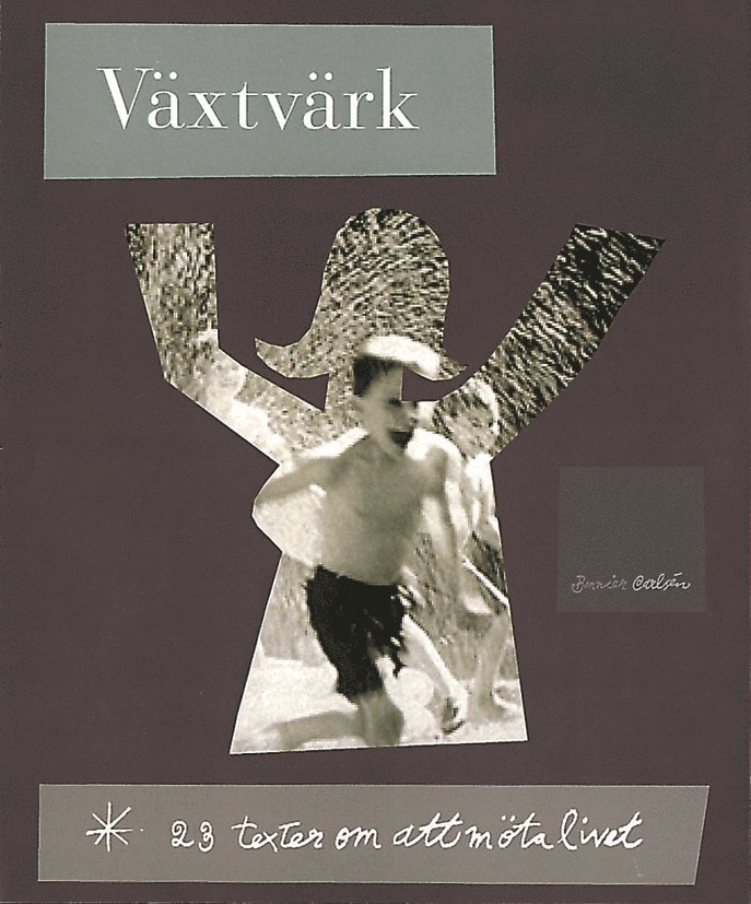 olika flera - Växtvärk - 24 texter om att möta livet, Häftad