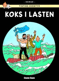 bokomslag Koks i lasten