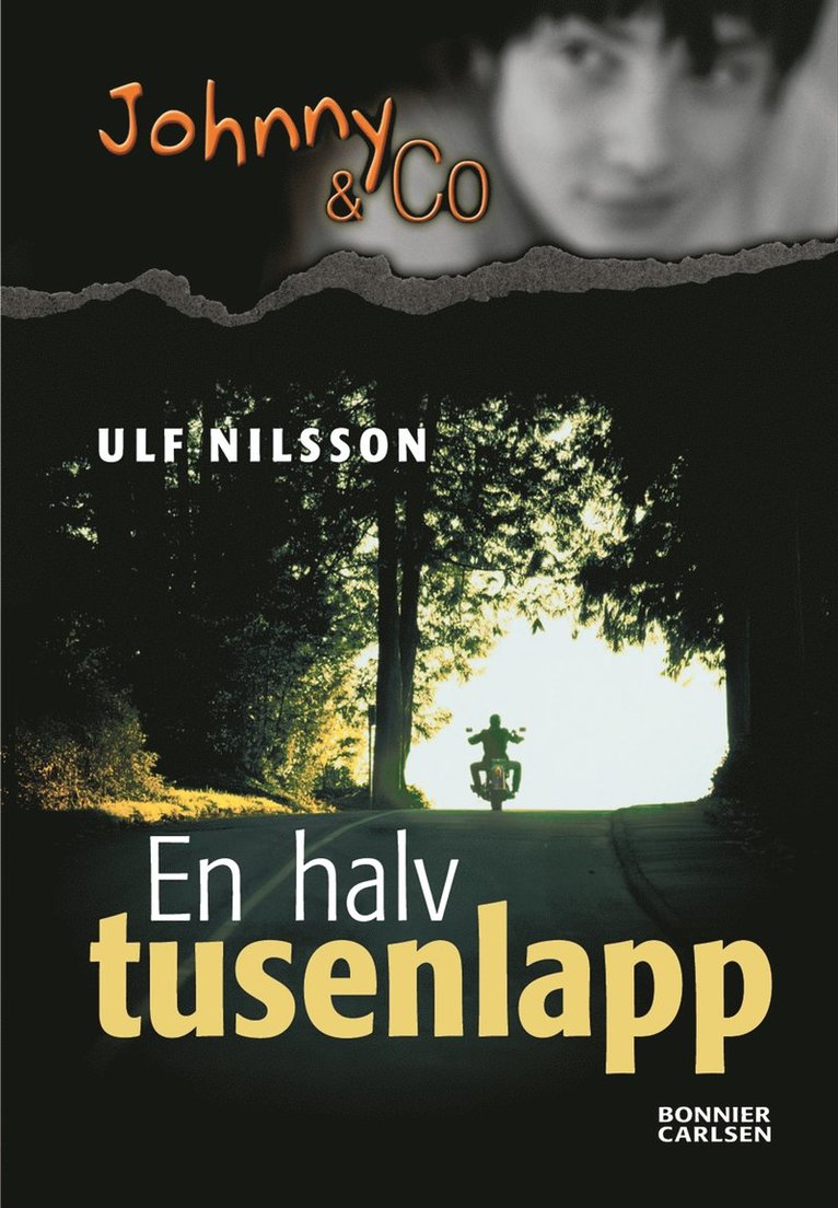 En halv tusenlapp
