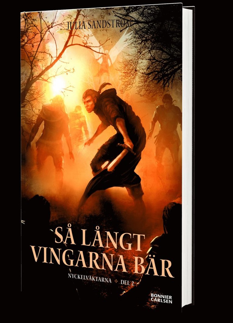 Julia Sandström - Så långt vingarna bär, Kartonnage
