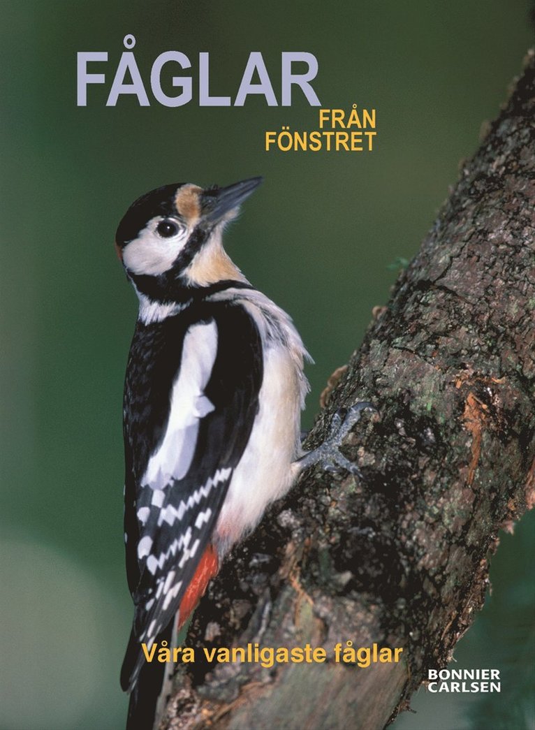 Ulla Hemberg - Fåglar från fönstret, Häftad