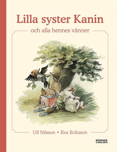 bokomslag Lilla syster Kanin och alla hennes vänner