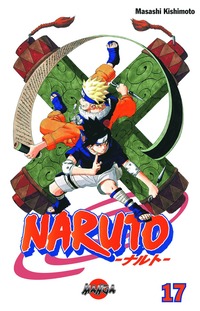 bokomslag Naruto 17