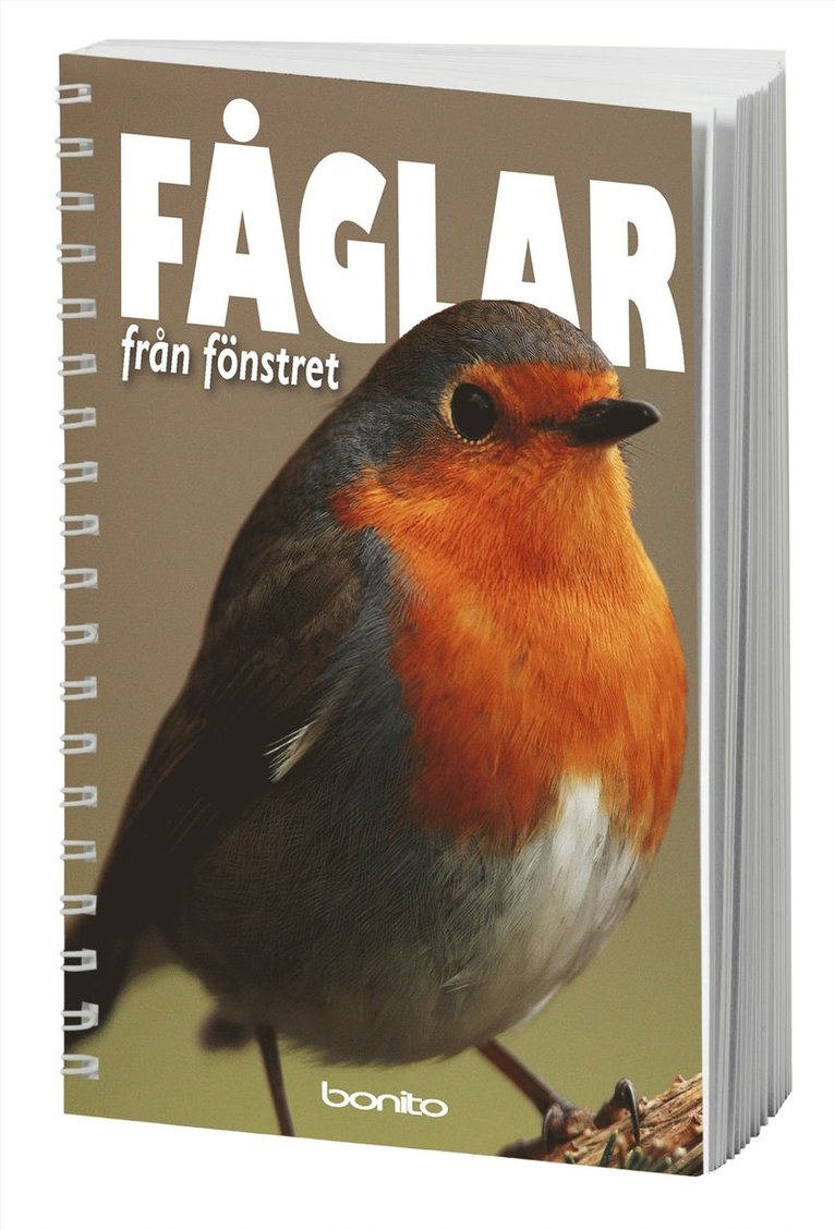 Ulla Hemberg - Fåglar från fönstret, Häftad