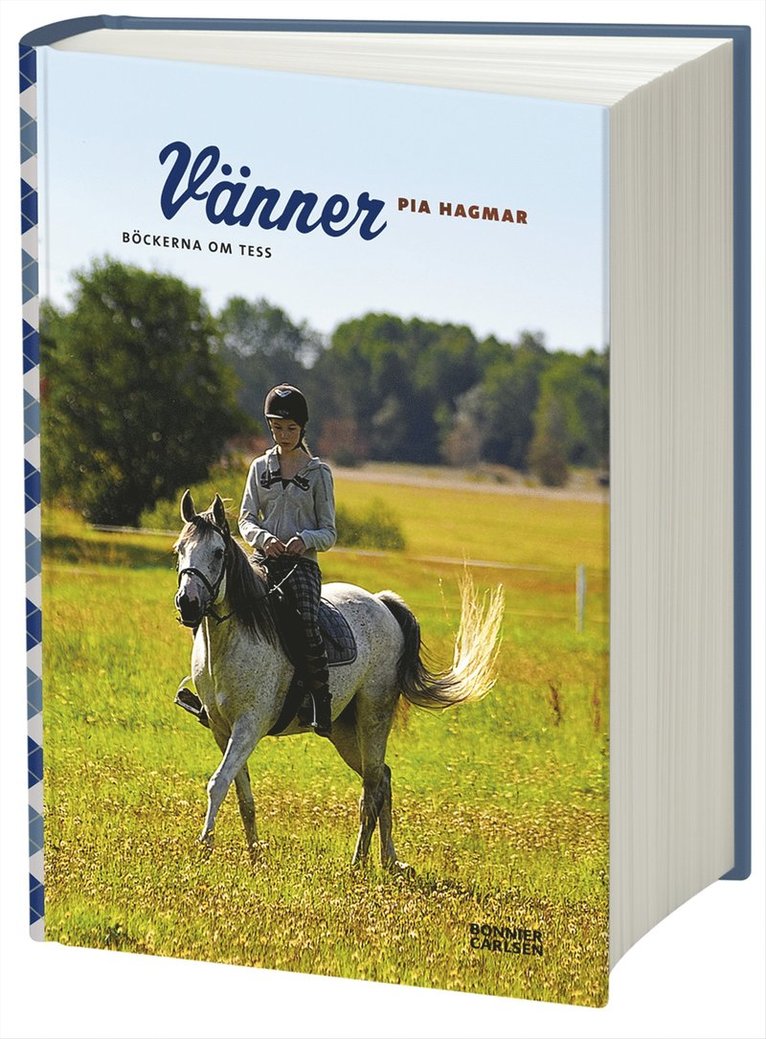 Vänner
