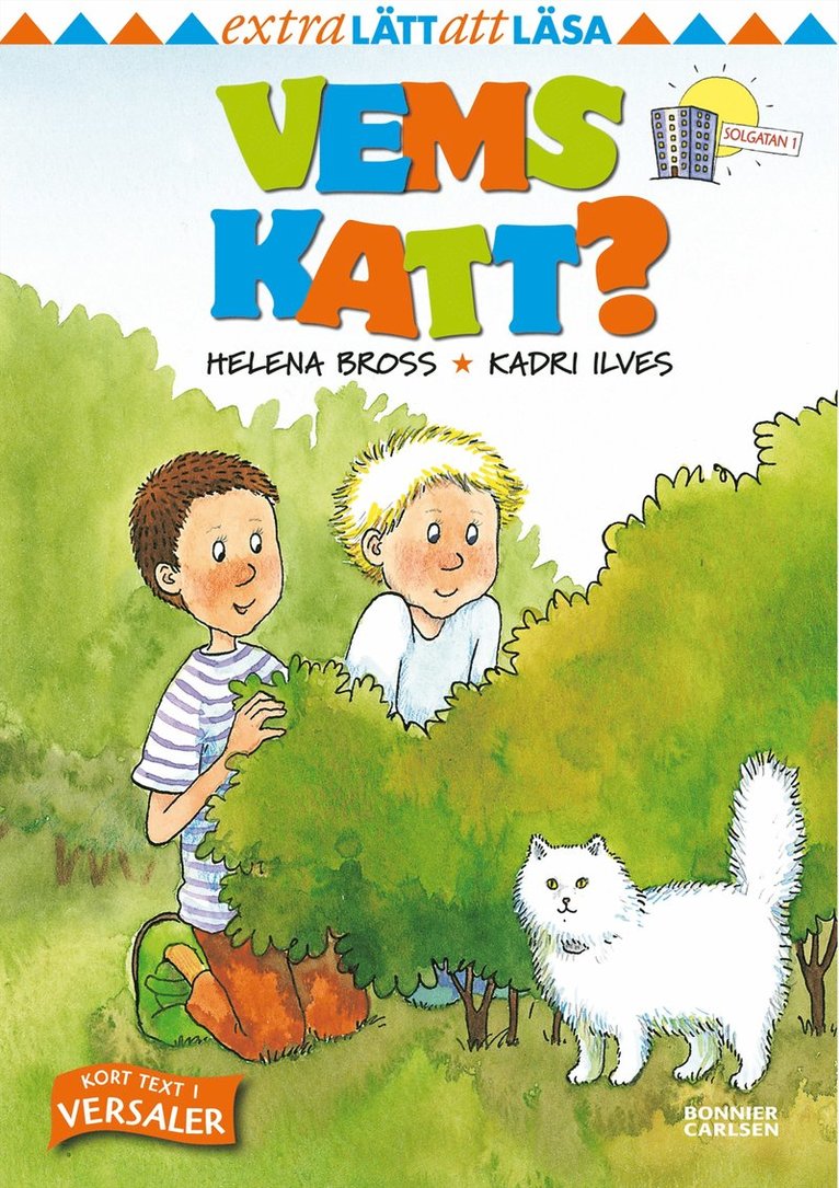 Vems katt? 1