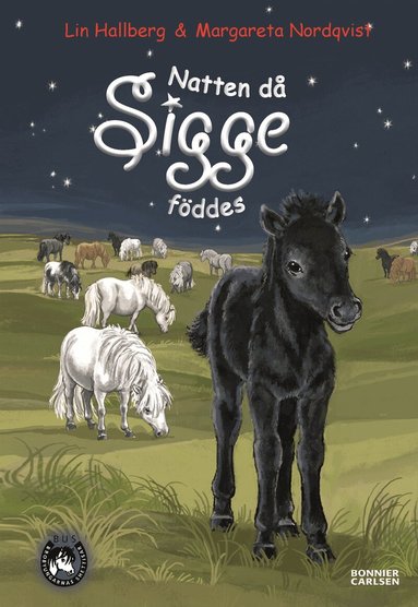 Lin Hallberg - Natten då Sigge föddes, Inbunden