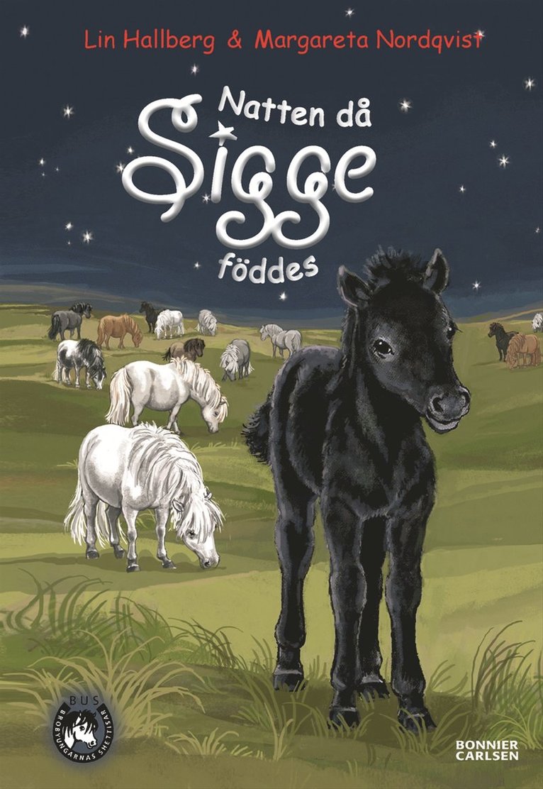 Lin Hallberg - Natten då Sigge föddes, Inbunden