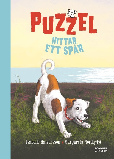 bokomslag Puzzel hittar ett spår