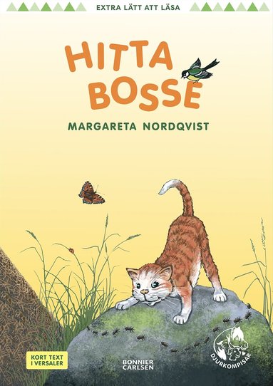 bokomslag Hitta Bosse