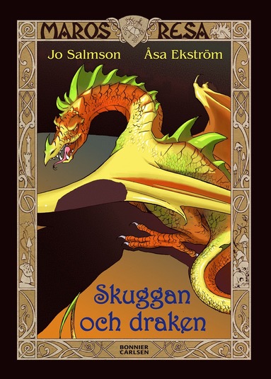 bokomslag Skuggan och draken
