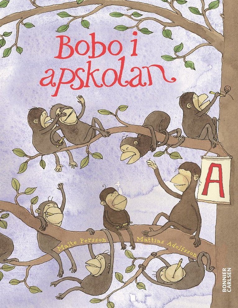 Bobo i apskolan : en bildningsroman