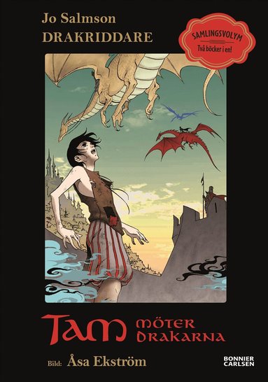 Jo Salmson - Tam möter drakarna, Inbunden
