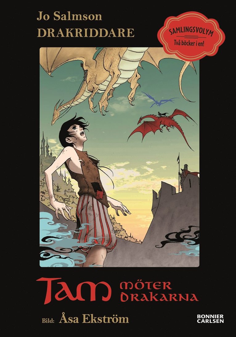 Jo Salmson - Tam möter drakarna, Inbunden