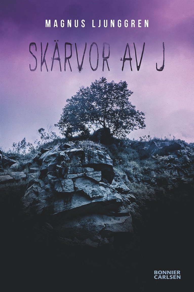Magnus Ljunggren - Skärvor av J, Kartonnage