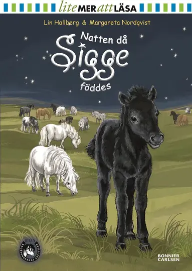 Lin Hallberg - Natten då Sigge föddes, Inbunden