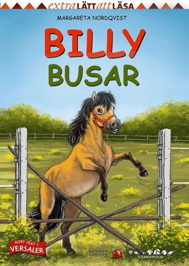 Margareta Nordqvist - Billy busar, Inbunden