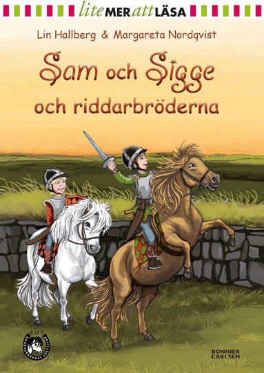 Lin Hallberg - Sam och Sigge och riddarbröderna, Inbunden