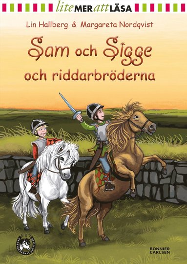 bokomslag Sam och Sigge och riddarbröderna