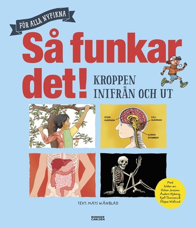 bokomslag Så funkar det! - Kroppen inifrån och ut