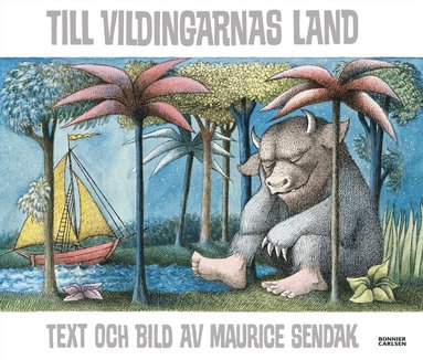 bokomslag Till vildingarnas land