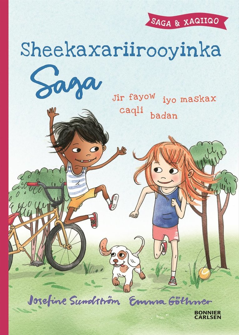 Josefine Sundström - Sheekaxariirooyinka Saga. Jir caafimaadqaba iyo maskax fayow, Inbunden