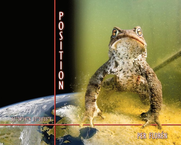 Per Florén - Position, Inbunden