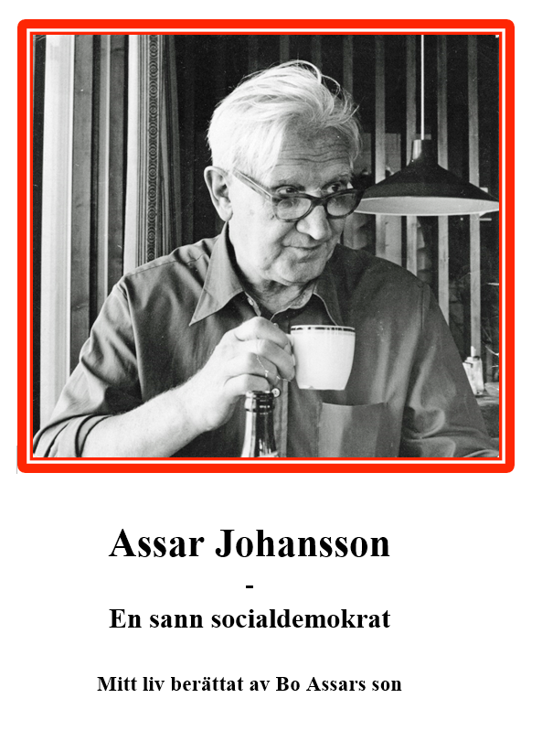 Bo Assarsson - Assar Johansson : en sann socialdemokrat, Häftad