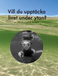 Klas Malmberg, Annika Malmberg, Nellie Malmberg - Vill du upptäcka livet under ytan? : en marinbiologibok för barn, Inbunden
