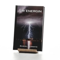 bokomslag Ur energin