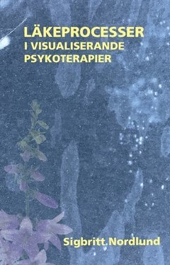 Läkeprocesser i visualiserande psykoterapier 1