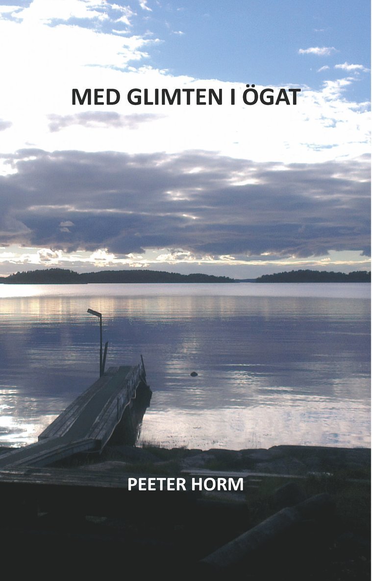 Peeter Horm - Med glimten i ögat, Häftad