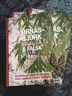 bokomslag Ornäsbjörk : förförisk & falsk