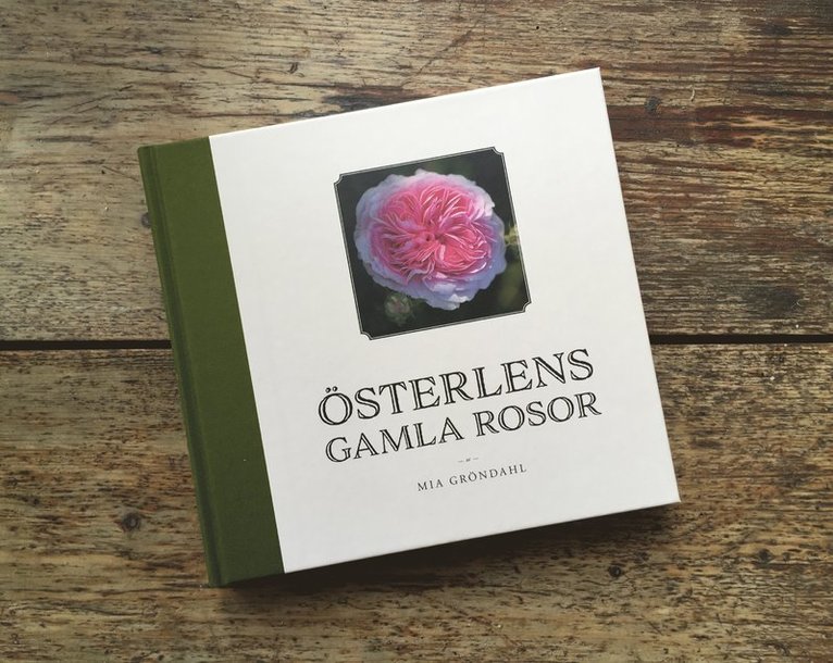 Mia Gröndahl - Österlens gamla rosor, Inbunden