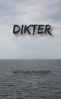 bokomslag Dikter