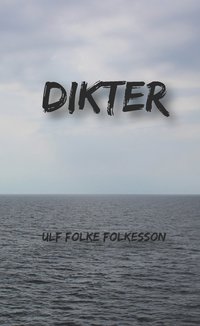 bokomslag Dikter