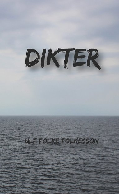 bokomslag Dikter