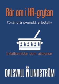 Kjell Lindström, Magnus Dalsvall - Rör om i HR-grytan : infallsvinklar som utmanar - förändra svenskt näringsliv, Häftad