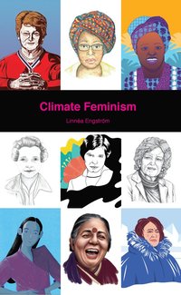bokomslag Climate feminism