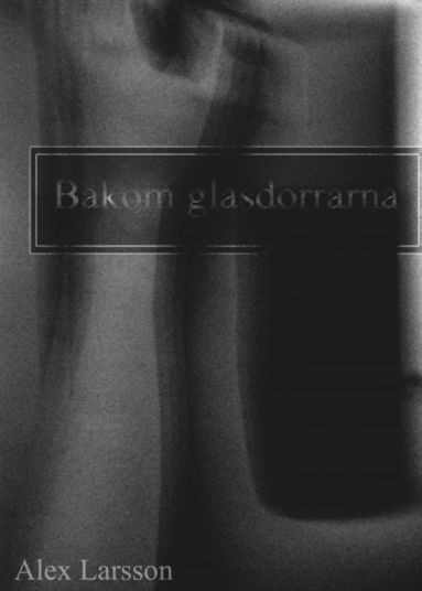 bokomslag Bakom glasdörrarna