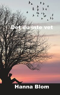 bokomslag Det du inte vet