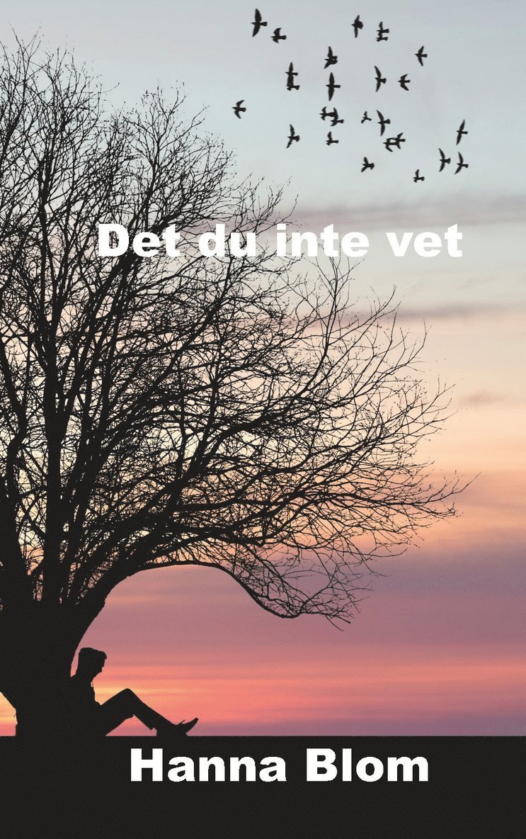 Det du inte vet 1