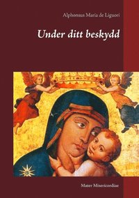 bokomslag Under ditt beskydd : tankar om kyrkans Maria-bön Salve Regina