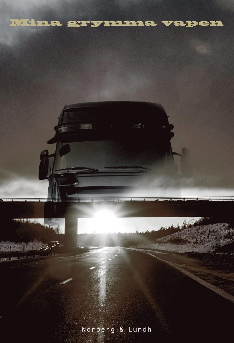 Thomas Lundh, Anna-Lena Norberg - Mina grymma vapen, Kartonnage