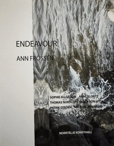 Sophie Allgårdh, Anne Klontz, Thomas Nordlöf, Paula von Seth, Patrik Steorn, Michael Winiarski - Endeavour :  Ann Frössén Norrtälje konsthall, Inbunden