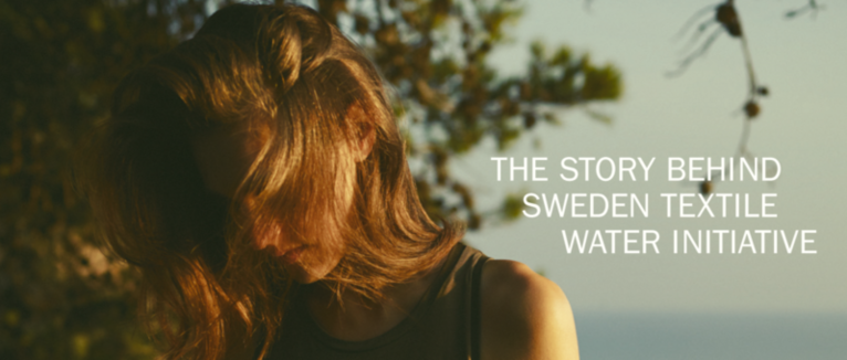 Renée Andersson, Jan Peter Bergkvist - The textile challenge : a collaboration for sustainability - the story behind Sweden textile water initiative, Häftad