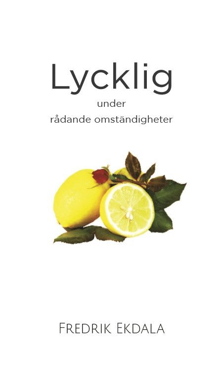 Fredrik Ekdala - Lycklig under rådande omständigheter, Inbunden